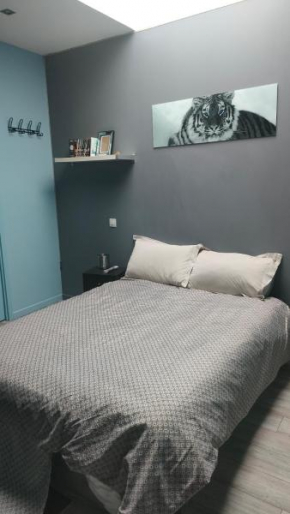 LOFT Descartes